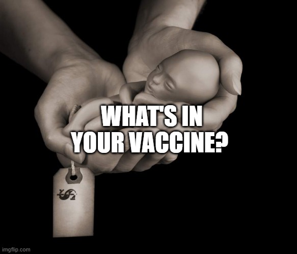 Fetus For Sale | WHAT'S IN YOUR VACCINE? | image tagged in fetus for sale | made w/ Imgflip meme maker