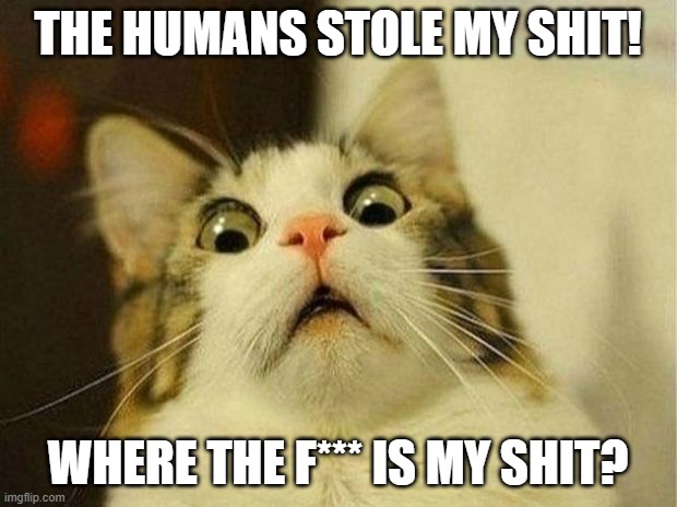 Scared Cat | THE HUMANS STOLE MY SHIT! WHERE THE F*** IS MY SHIT? | image tagged in memes,scared cat | made w/ Imgflip meme maker