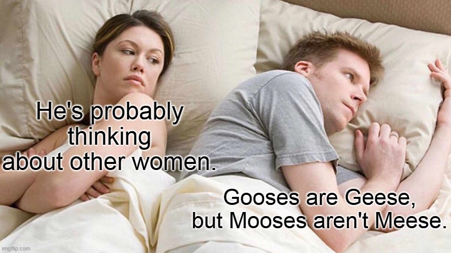 I Bet He's Thinking About Other Women | He's probably thinking about other women. Gooses are Geese, but Mooses aren't Meese. | image tagged in memes,i bet he's thinking about other women,geese,moose,animals,funny | made w/ Imgflip meme maker