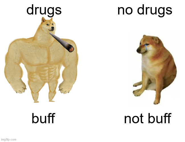 Buff Doge vs. Cheems | drugs; no drugs; buff; not buff | image tagged in memes,buff doge vs cheems | made w/ Imgflip meme maker