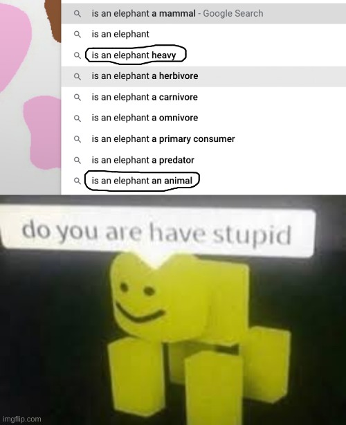 image tagged in do you are have stupid | made w/ Imgflip meme maker