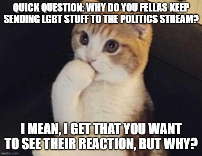 Just wondering | QUICK QUESTION: WHY DO YOU FELLAS KEEP SENDING LGBT STUFF TO THE POLITICS STREAM? I MEAN, I GET THAT YOU WANT TO SEE THEIR REACTION, BUT WHY? | image tagged in thinking cat,just wondering | made w/ Imgflip meme maker