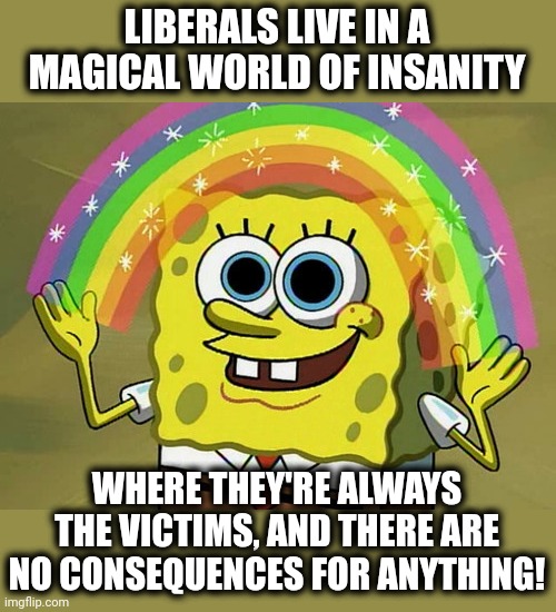 Imagination Spongebob Meme | LIBERALS LIVE IN A MAGICAL WORLD OF INSANITY WHERE THEY'RE ALWAYS THE VICTIMS, AND THERE ARE NO CONSEQUENCES FOR ANYTHING! | image tagged in memes,imagination spongebob | made w/ Imgflip meme maker