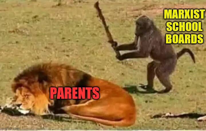 Monkey lion | MARXIST SCHOOL BOARDS; PARENTS | image tagged in monkey lion | made w/ Imgflip meme maker
