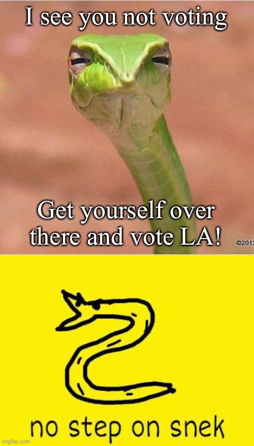 No s t e p p e | I see you not voting; Get yourself over there and vote LA! | image tagged in snek blank,no step on snek | made w/ Imgflip meme maker