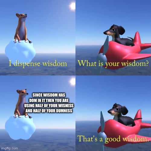 That's a good wisdom | SINCE WISDOM HAS DOM IN IT THEN YOU ARE USING HALF OF YOUR WISNESS AND HALF OF YOUR DUMNESS | image tagged in that's a good wisdom | made w/ Imgflip meme maker