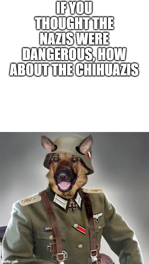 Nazi dog | IF YOU THOUGHT THE NAZIS WERE DANGEROUS, HOW ABOUT THE CHIHUAZIS | image tagged in nazi dog | made w/ Imgflip meme maker