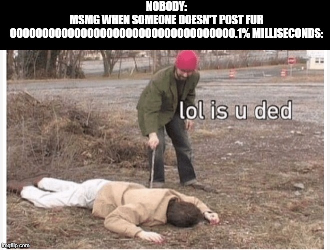 h | NOBODY:
MSMG WHEN SOMEONE DOESN'T POST FUR 00000000000000000000000000000000000.1% MILLISECONDS: | image tagged in lol is u ded | made w/ Imgflip meme maker