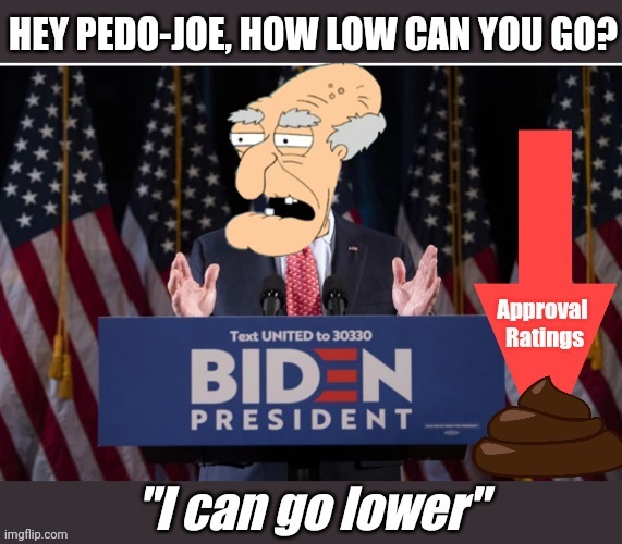 Biden's Approval Ratings | image tagged in joe biden | made w/ Imgflip meme maker