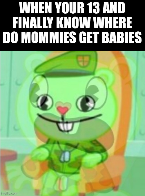 Flippy realizes |  WHEN YOUR 13 AND FINALLY KNOW WHERE DO MOMMIES GET BABIES | image tagged in flippy realizes,pregnancy,sudden realization,eternal screaming | made w/ Imgflip meme maker