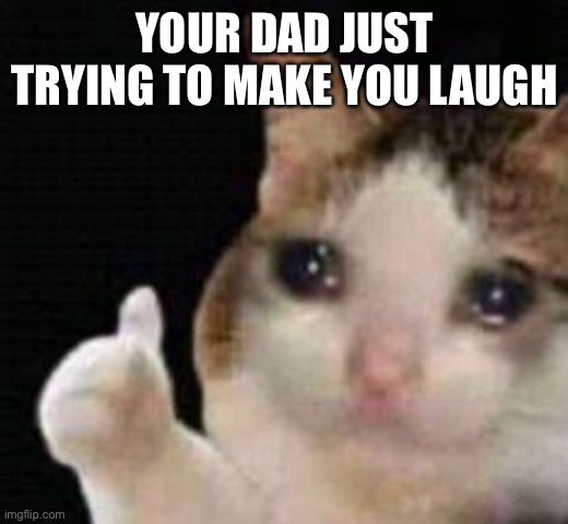 Approved crying cat | YOUR DAD JUST TRYING TO MAKE YOU LAUGH | image tagged in approved crying cat | made w/ Imgflip meme maker