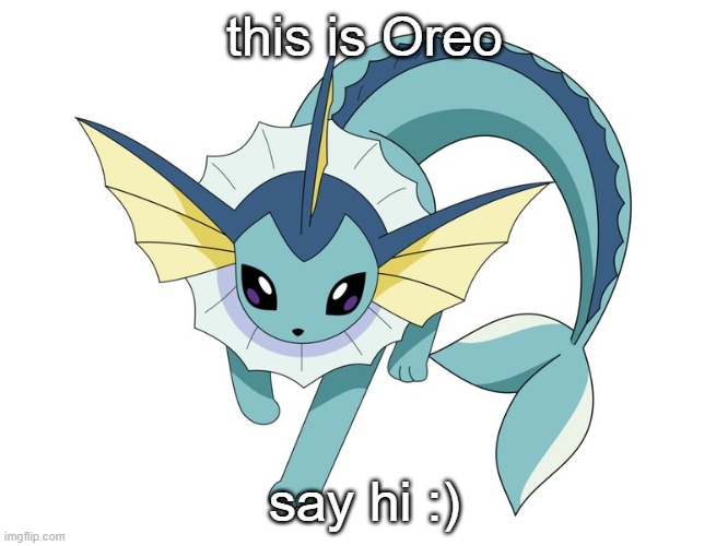he is one of my 2 pokemon | this is Oreo; say hi :) | image tagged in vaporeon,johto coast guard | made w/ Imgflip meme maker