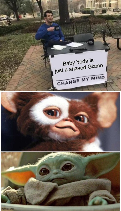 Hmm... | Baby Yoda is just a shaved Gizmo | image tagged in memes,change my mind,gizmo and baby yoda,why are you reading this | made w/ Imgflip meme maker