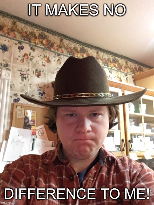 It make no difference | IT MAKES NO; DIFFERENCE TO ME! | image tagged in disgusted cowboy | made w/ Imgflip meme maker