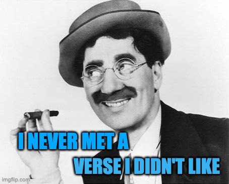 Groucho Meta | I NEVER MET A; VERSE I DIDN'T LIKE | image tagged in groucho marx | made w/ Imgflip meme maker