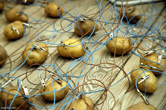 potato servers | image tagged in potato servers | made w/ Imgflip meme maker