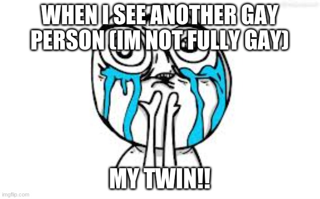 Crying Because Of Cute Meme | WHEN I SEE ANOTHER GAY PERSON (IM NOT FULLY GAY); MY TWIN!! | image tagged in memes,crying because of cute | made w/ Imgflip meme maker