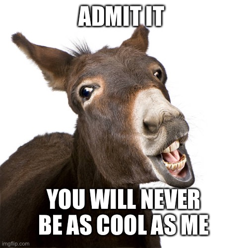 Donkey | ADMIT IT; YOU WILL NEVER BE AS COOL AS ME | image tagged in funny,lol,animals | made w/ Imgflip meme maker