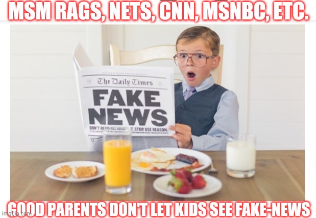 Don't do it | MSM RAGS, NETS, CNN, MSNBC, ETC. GOOD PARENTS DON'T LET KIDS SEE FAKE-NEWS | image tagged in liberal,fake news,liars,liberal logic,insanity,liberal vs conservative | made w/ Imgflip meme maker