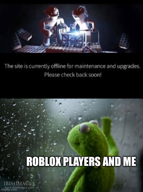 Why is roblox down answer me??? | ROBLOX PLAYERS AND ME | image tagged in kermit window,why is roblox down | made w/ Imgflip meme maker