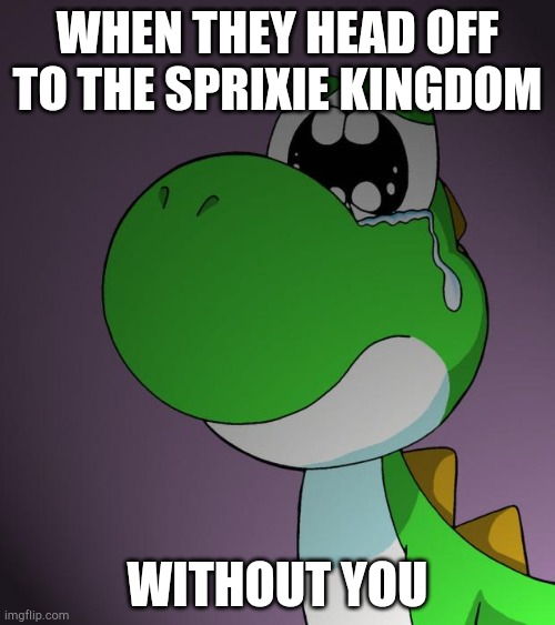 Mario 3D World, am I right? | WHEN THEY HEAD OFF TO THE SPRIXIE KINGDOM; WITHOUT YOU | image tagged in sad yoshi | made w/ Imgflip meme maker