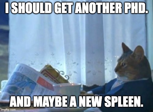 I Should Buy A Boat Cat Meme | I SHOULD GET ANOTHER PHD. AND MAYBE A NEW SPLEEN. | image tagged in memes,i should buy a boat cat | made w/ Imgflip meme maker