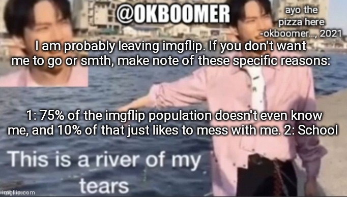 Serious. | I am probably leaving imgflip. If you don't want me to go or smth, make note of these specific reasons:; 1: 75% of the imgflip population doesn't even know me, and 10% of that just likes to mess with me. 2: School | image tagged in e | made w/ Imgflip meme maker