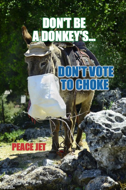 VOTE FREEDOM | DON'T BE A DONKEY'S... DON'T VOTE TO CHOKE; PEACE JET | image tagged in i fear no man,one does not simply,they hated jesus because he told them the truth | made w/ Imgflip meme maker