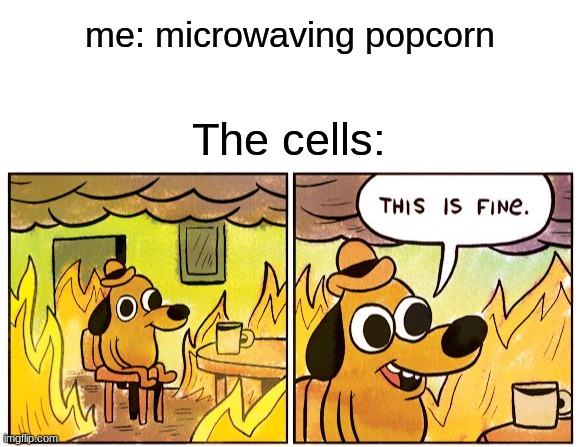 This meme makes sense | me: microwaving popcorn; The cells: | image tagged in blank white template,memes,this is fine | made w/ Imgflip meme maker