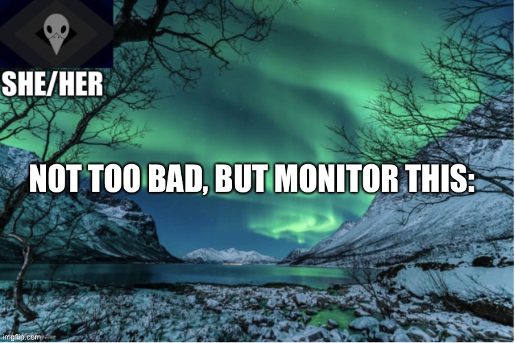 Northern Lights Termcollector Template | NOT TOO BAD, BUT MONITOR THIS: | image tagged in northern lights termcollector template | made w/ Imgflip meme maker