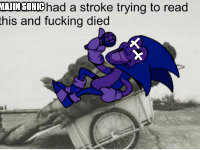 Majin Sonic had a stroke trying to read this and fucking died. Blank Meme Template
