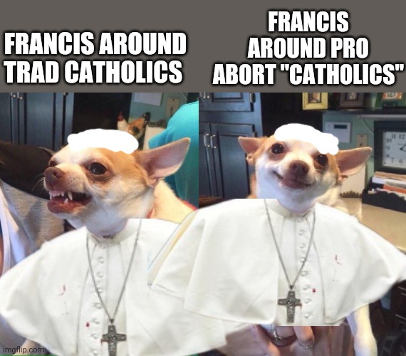 Laughing and smiling at the most hypocritical catholic president in history | FRANCIS AROUND PRO ABORT "CATHOLICS"; FRANCIS AROUND TRAD CATHOLICS | image tagged in chihuahua meme | made w/ Imgflip meme maker