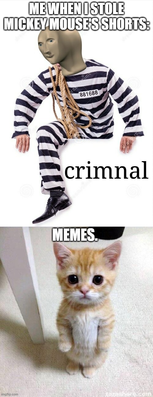 ME WHEN I STOLE MICKEY MOUSE'S SHORTS:; MEMES. | image tagged in crimnal meme man,memes,cute cat,mickey mouse | made w/ Imgflip meme maker