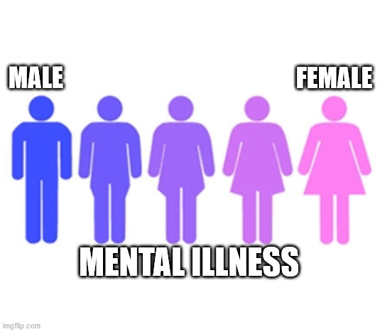 FEMALE; MALE; MENTAL ILLNESS | made w/ Imgflip meme maker