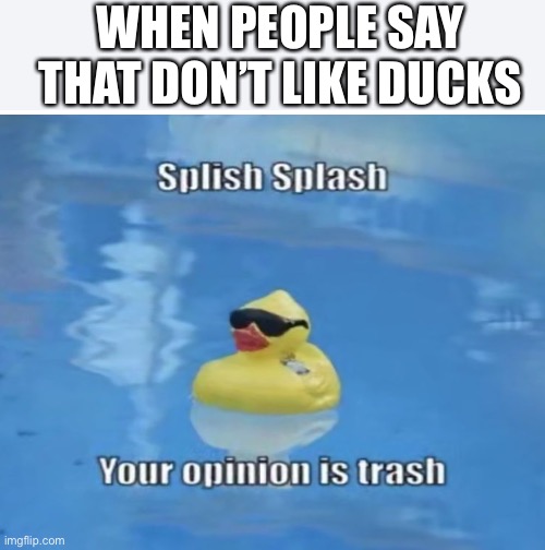 WHEN PEOPLE SAY THAT DON’T LIKE DUCKS | image tagged in memes,marked safe from | made w/ Imgflip meme maker
