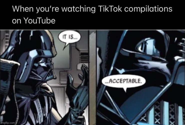 image tagged in it is acceptable,tiktok,tik tok,memes,funny,funny memes | made w/ Imgflip meme maker