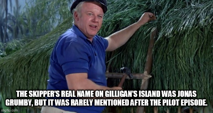 Skipper | THE SKIPPER’S REAL NAME ON GILLIGAN’S ISLAND WAS JONAS GRUMBY, BUT IT WAS RARELY MENTIONED AFTER THE PILOT EPISODE. | image tagged in skipper | made w/ Imgflip meme maker