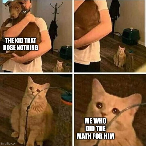 Sad Cat Holding Dog | THE KID THAT DOSE NOTHING; ME WHO DID THE MATH FOR HIM | image tagged in sad cat holding dog | made w/ Imgflip meme maker