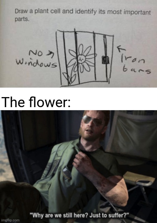 Plant cell | The flower: | image tagged in why are we still here just to suffer,reposts,repost,memes,flower,plants | made w/ Imgflip meme maker