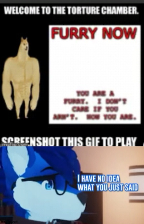image tagged in foofi i have no idea | made w/ Imgflip meme maker