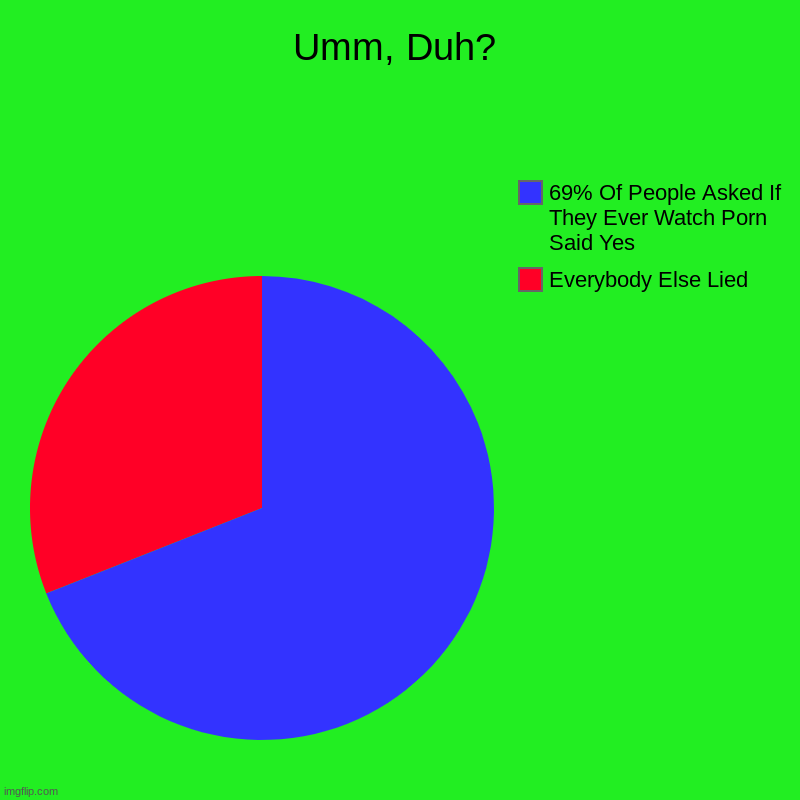 Umm, Duh? | Umm, Duh? | Everybody Else Lied, 69% Of People Asked If They Ever Watch Porn Said Yes | image tagged in charts,pie charts,reid moore,funny | made w/ Imgflip chart maker