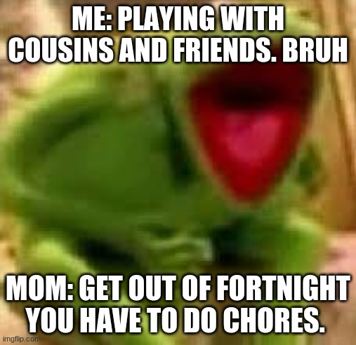 WHYYYY | ME: PLAYING WITH COUSINS AND FRIENDS. BRUH; MOM: GET OUT OF FORTNIGHT YOU HAVE TO DO CHORES. | image tagged in kirmit | made w/ Imgflip meme maker