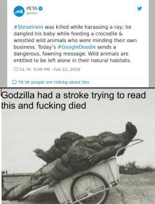 Godzilla | image tagged in godzilla | made w/ Imgflip meme maker
