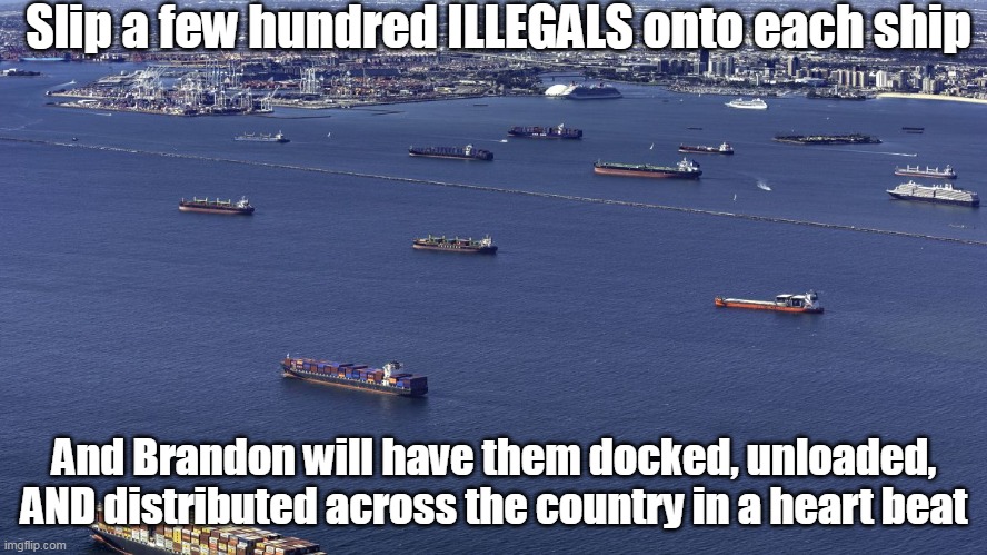 Boom ! Supply Chain Problem Solved | Slip a few hundred ILLEGALS onto each ship; And Brandon will have them docked, unloaded, AND distributed across the country in a heart beat | image tagged in memes | made w/ Imgflip meme maker