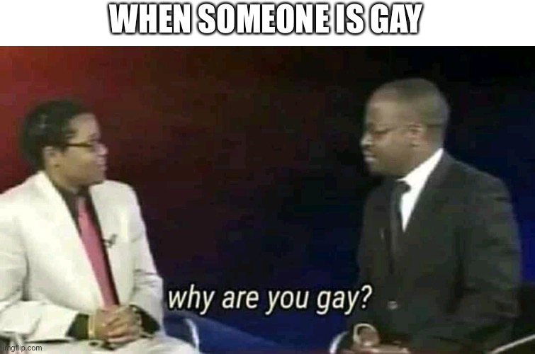 Why are you gay? | WHEN SOMEONE IS GAY | image tagged in why are you gay | made w/ Imgflip meme maker