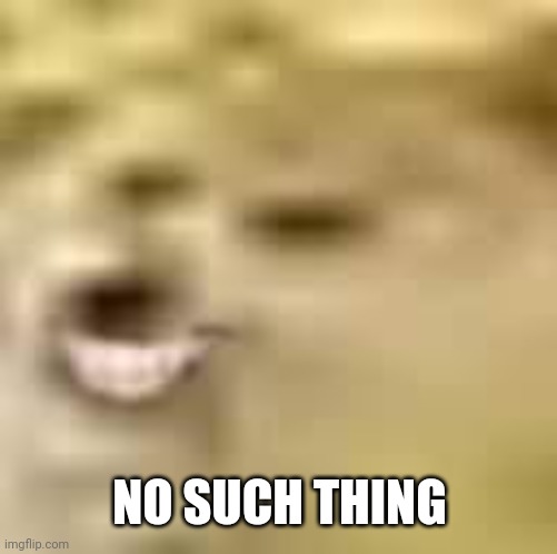 Smiling doge | NO SUCH THING | image tagged in smiling doge | made w/ Imgflip meme maker