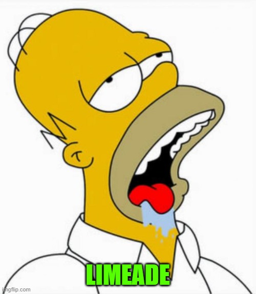 Homer Drooling | LIMEADE | image tagged in homer drooling | made w/ Imgflip meme maker