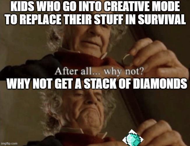 Why Not | KIDS WHO GO INTO CREATIVE MODE TO REPLACE THEIR STUFF IN SURVIVAL; WHY NOT GET A STACK OF DIAMONDS | image tagged in after all why not | made w/ Imgflip meme maker