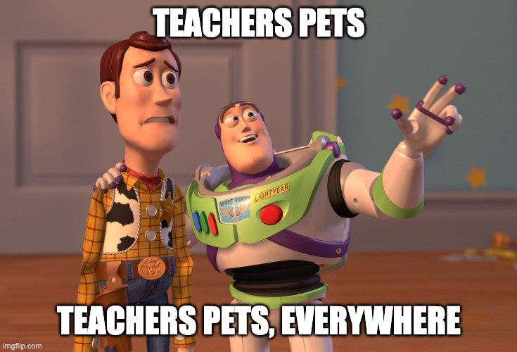 if you techers pet burn in hell | TEACHERS PETS; TEACHERS PETS, EVERYWHERE | image tagged in memes,x x everywhere | made w/ Imgflip meme maker