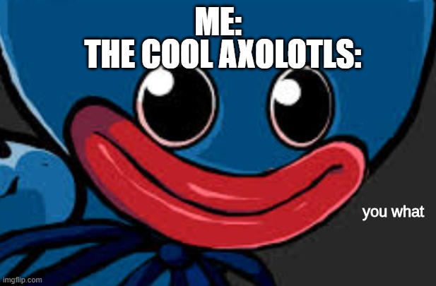 Me When I Look At Sia's Butt | THE COOL AXOLOTLS:; ME: | image tagged in you what huggy wuggy edition | made w/ Imgflip meme maker